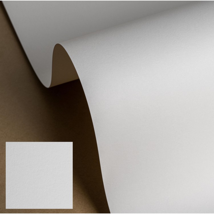 Masterblank 270[g/m2] KOLOR: LINO, Liso (MOLET LS)
